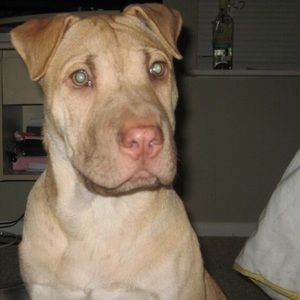 Meet your Posher, Emiley